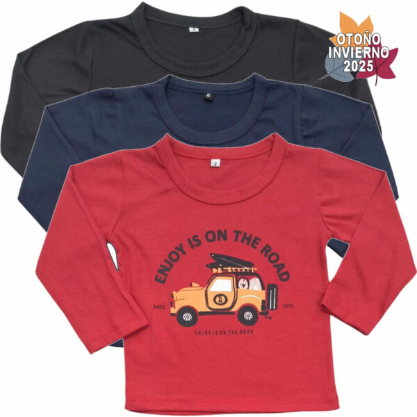 Art 1711-2-c / PACK CURVA Remeras de Algodon Bebe talle 2 al 6