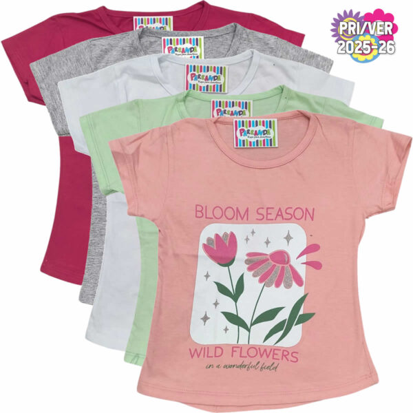 Art 2213-2 / Remeras de Algodón Peinado Con Estampa y Brillo Talle 4 al 16