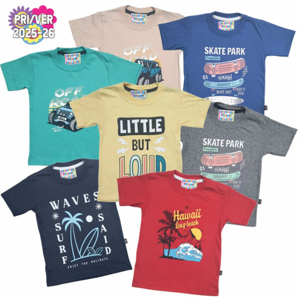 Art 2317 / Remeras de Algodón Peinado  Talle 4 al 16