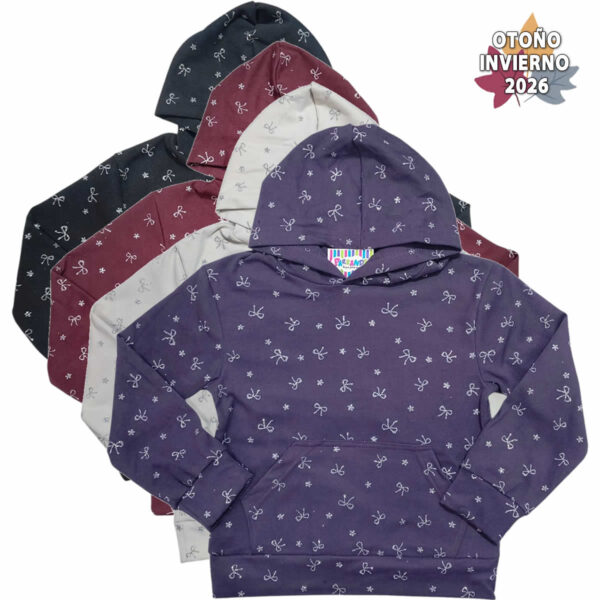 Art 2619 / Buzo Capucha en Darlom con Estampa brillo - Talle 6 al 16