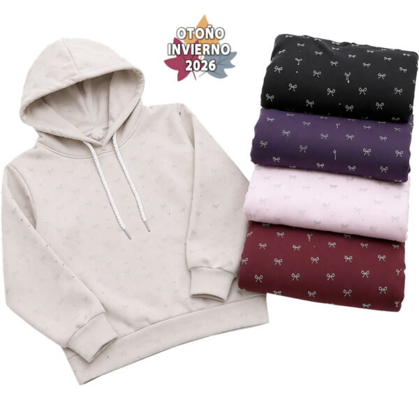 Art 2619 / Buzo Capucha en Darlom con Estampa brillo - Talle 6 al 16