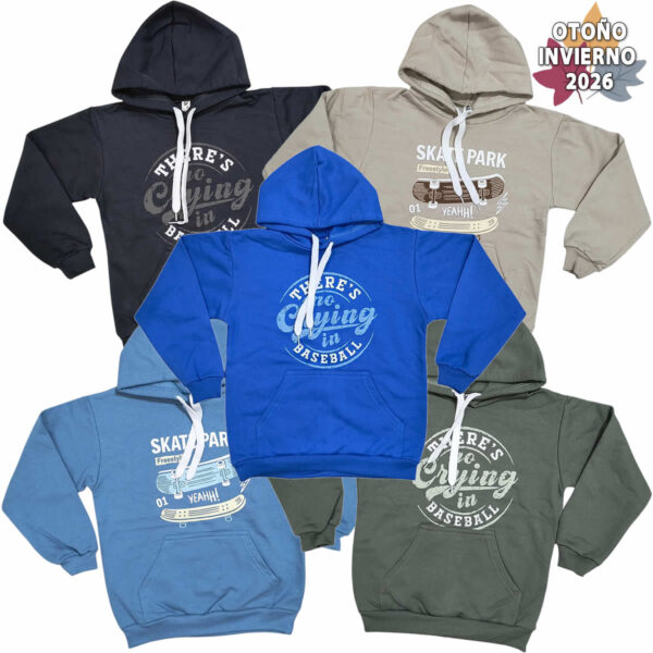 Art 2719 / Buzo Capucha Algodon Frizado con Estampa brillo - Talle 4 al 16